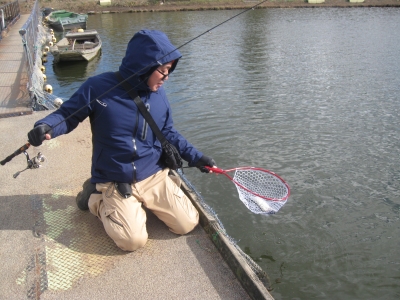 吉羽園 釣果