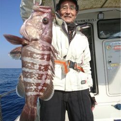 マタウマリンサービス 釣果