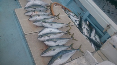 旭星釣りセンター 釣果