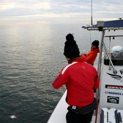 フルコンタクト 釣果