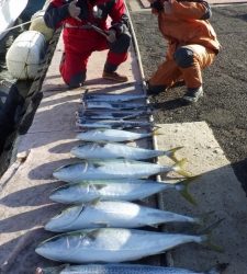 秀丸 釣果