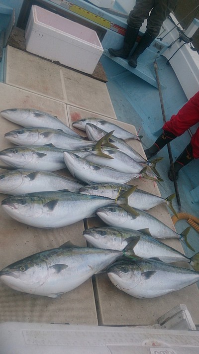 旭星釣りセンター 釣果