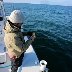 フルコンタクト 釣果