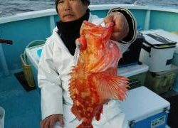 長栄丸(静岡) 釣果