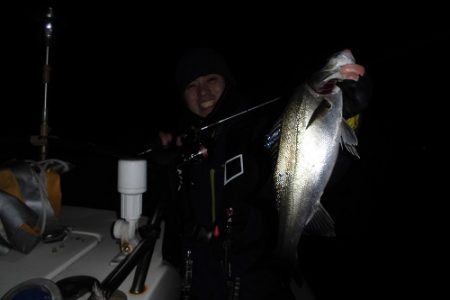 ルアー船マヒマヒ 釣果