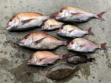 長栄丸(千葉) 釣果