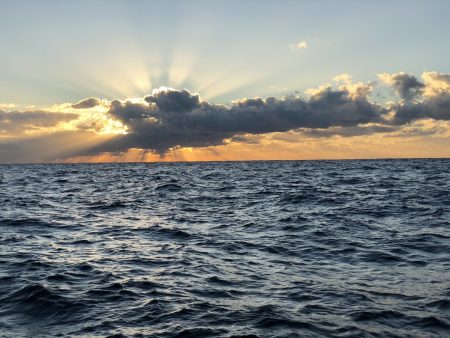 長栄丸(千葉) 釣果