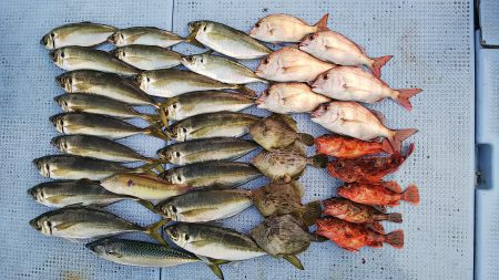 第二常豊丸 釣果