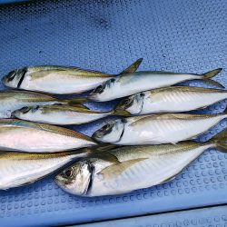 第二常豊丸 釣果