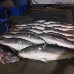 幸風（さちかぜ） 釣果