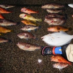 第二一之紀丸（ダイニイチノキマル） 釣果