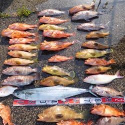 第二一之紀丸（ダイニイチノキマル） 釣果