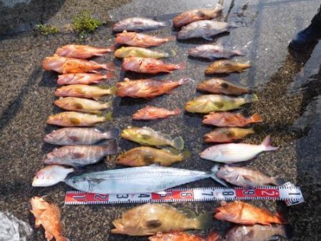 第二一之紀丸（ダイニイチノキマル） 釣果