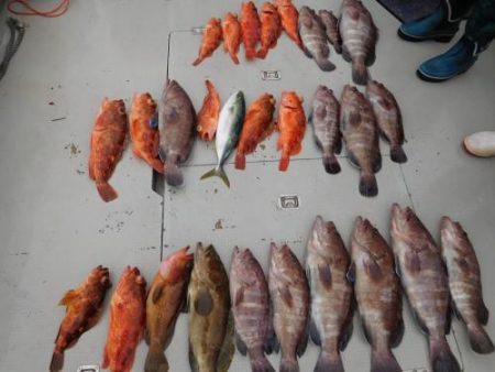 第二一之紀丸（ダイニイチノキマル） 釣果