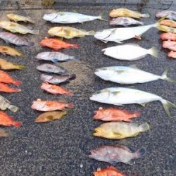 第二一之紀丸（ダイニイチノキマル） 釣果