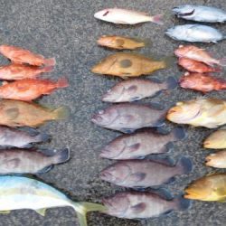 第二一之紀丸（ダイニイチノキマル） 釣果