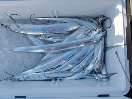 遊漁船　ニライカナイ 釣果