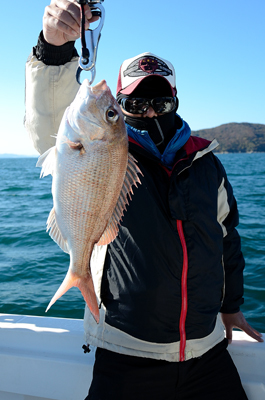 Marine T Design　マリンティ…