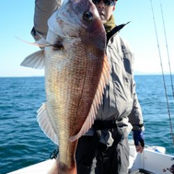 Marine T Design マリンティーデザイン 釣果