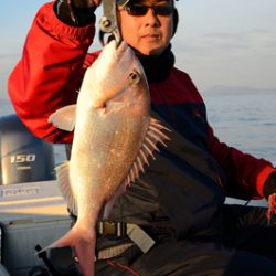 Marine T Design　マリンティーデザイン 釣果