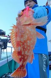 伊豆下田フィッシング 釣果