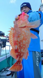 伊豆下田フィッシング 釣果