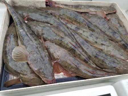 Magic（マジック） 釣果