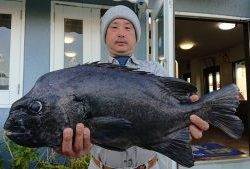 伊豆下田フィッシング 釣果