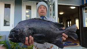 伊豆下田フィッシング 釣果
