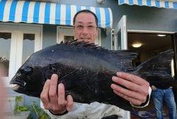 伊豆下田フィッシング 釣果