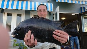 伊豆下田フィッシング 釣果