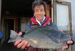 伊豆下田フィッシング 釣果