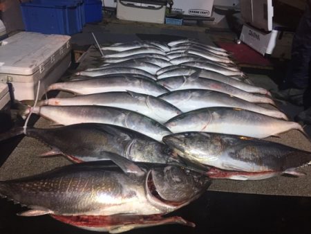 幸風（さちかぜ） 釣果