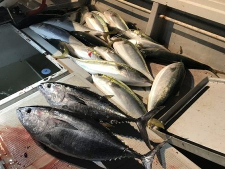 寿裕 （YOSHIHIRO） 釣果