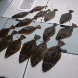 遊漁船 幸友丸 釣果