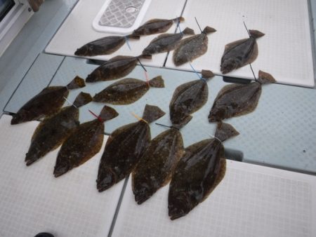 遊漁船 幸友丸 釣果