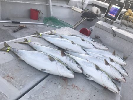 寿裕 （YOSHIHIRO） 釣果