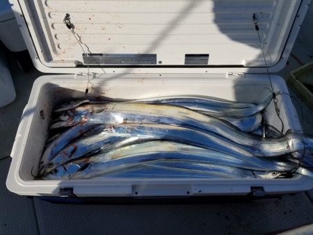 遊漁船　ニライカナイ 釣果