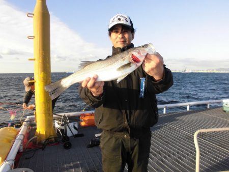 尼崎市立魚つり公園 釣果