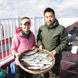 尼崎市立魚つり公園 釣果