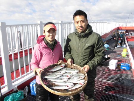 尼崎市立魚つり公園 釣果