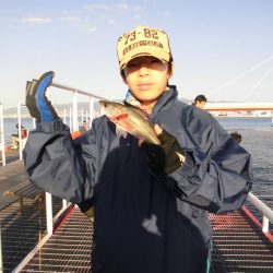 尼崎市立魚つり公園 釣果