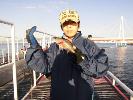 尼崎市立魚つり公園 釣果