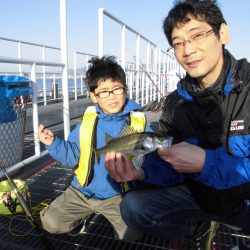 尼崎市立魚つり公園 釣果