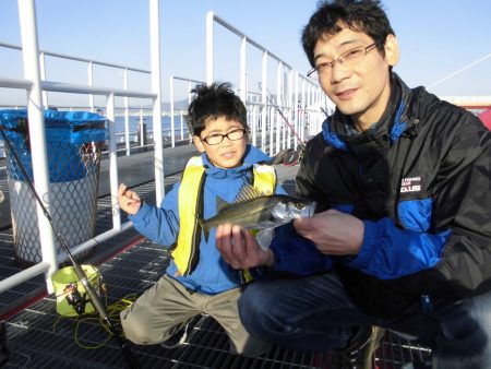尼崎市立魚つり公園 釣果