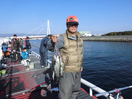 尼崎市立魚つり公園 釣果