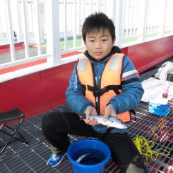 尼崎市立魚つり公園 釣果