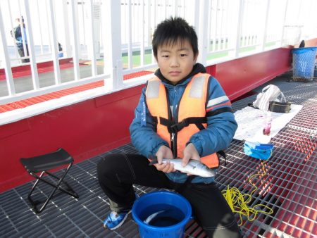 尼崎市立魚つり公園 釣果