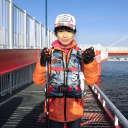 尼崎市立魚つり公園 釣果