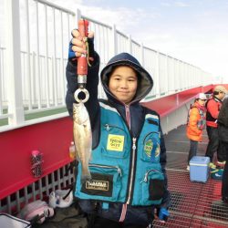 尼崎市立魚つり公園 釣果